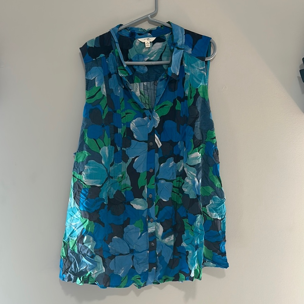 Terra & Sky Green and Blue Sleeveless Blouse